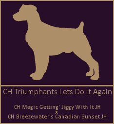 CH Triumphants Lets Do It Again